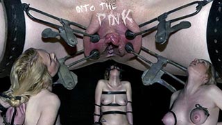 into-the-pink